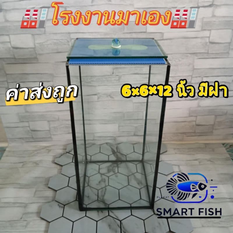 โหลใส่ปลากัดขนาดใหญ่ 6×6×12 นิ้ว มีฝา กาวดำ กระจกหนา 4 มิลลิเมตร รูปที่ 1