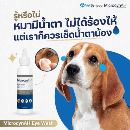 MicrocynAH Eye Wash 120 mlExp.2028 น้ำยาทำความสะอาดดวงตา ลดเยื่อบุตาอักเสบ คราบน้ำตา ระคายเคือง รูปที่ 2
