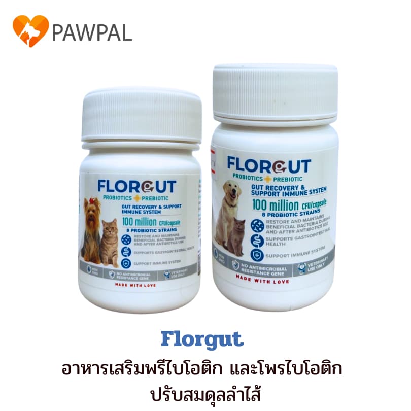 Florgut 30 แคปซูลExp.2028 อาหารเสริมโปรตีน พรีไบโอติกและโพรไบโอติก ปรับสมดุลลำไส้ สำหรับสุนัขและแมว รูปที่ 1