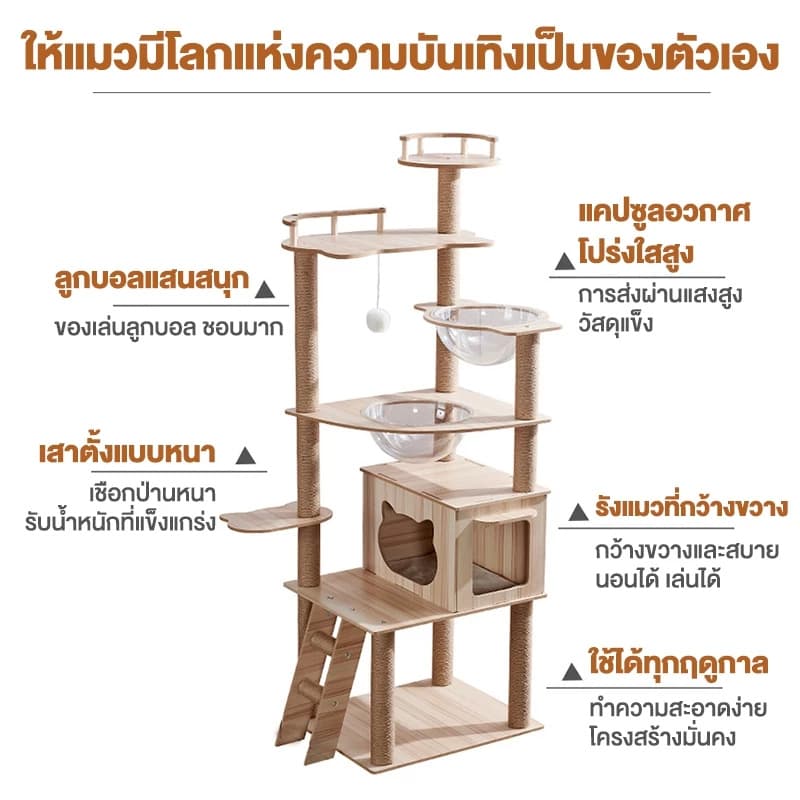 คอนโดแมว คอนโดแมวไม้ เสาลับเล็บแมวได้ สูง147cm ตัวหนา เพิ่มความสูง งานไม้ทั้งหลัง แข็งแรง ขนาดใหญ่ รูปที่ 9