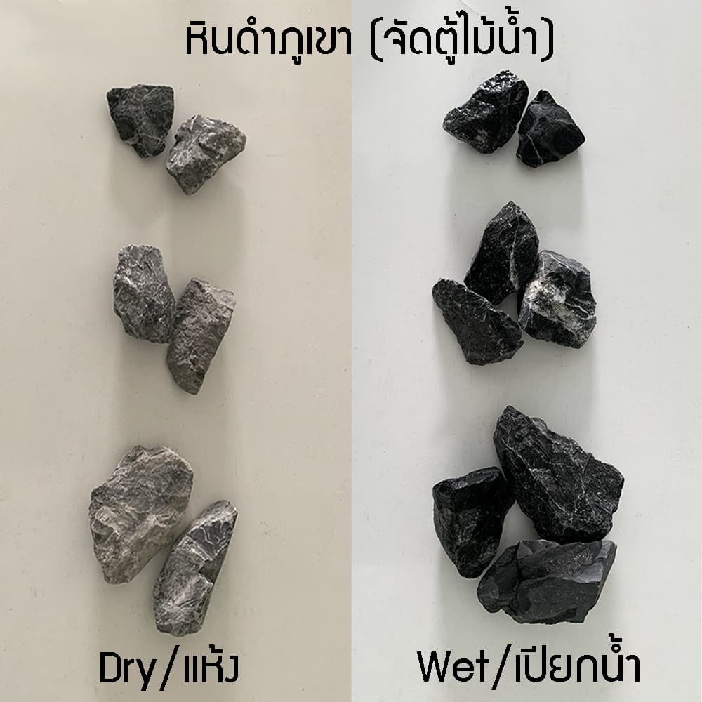 หินจัดเลย์เอ้าท์ หิน Dark Stone / NaturalWhite / Dotted Green ราคาส่ง หินตกแต่งตู้ไม้น้ำ ตู้ปลา คัด กกละ 75.- รูปที่ 5