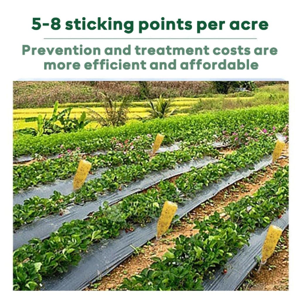 คูปองสุดคุ้ม！ 450ML.สเปย์สารล่อแมลงวันทอง ยาฉีดแมลง กาวดักแมลง สูตรเข้มข้น ความเหนียวดี รูปที่ 7