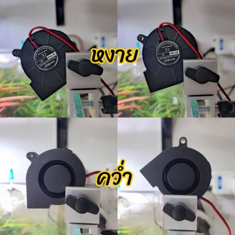 พัดลมตู้ปลา/ตู้ไม้น้ำ/ตู้ลำธาร แบบบางไม่บังแสง เสียงเงียบ พร้อมตัวปรับรอบ รูปที่ 5