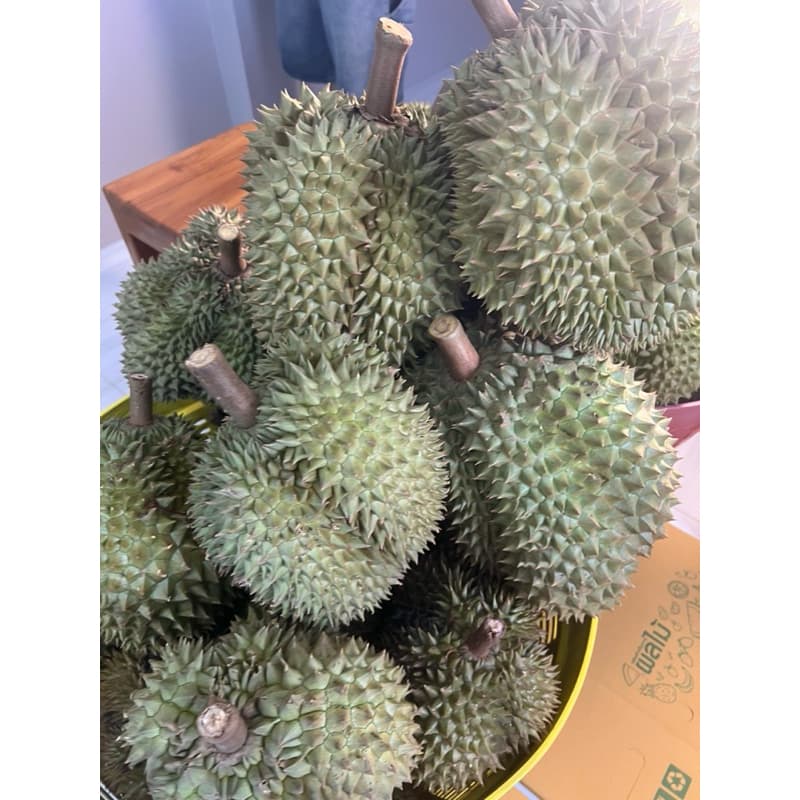 ยอดสั่งซื้อเยอะสุด! ทุเรียนหมอนแท้ ออแกรนิค 100% มีให้เลือกจะเลือกสวยๆให้น้ำหนักเลือกได้ เก็บเงินปลายทาง รูปที่ 6