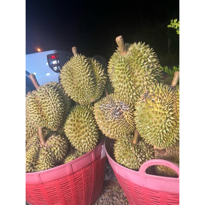 ยอดสั่งซื้อเยอะสุด! ทุเรียนหมอนแท้ ออแกรนิค 100% มีให้เลือกจะเลือกสวยๆให้น้ำหนักเลือกได้ เก็บเงินปลายทาง รูปที่ 9