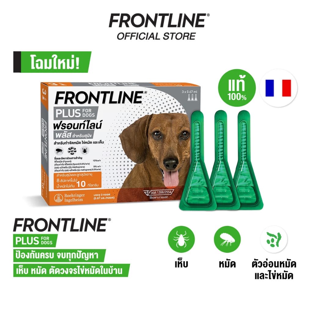 FRONTLINE PLUS สำหรับสุนัขและแมว รูปที่ 6