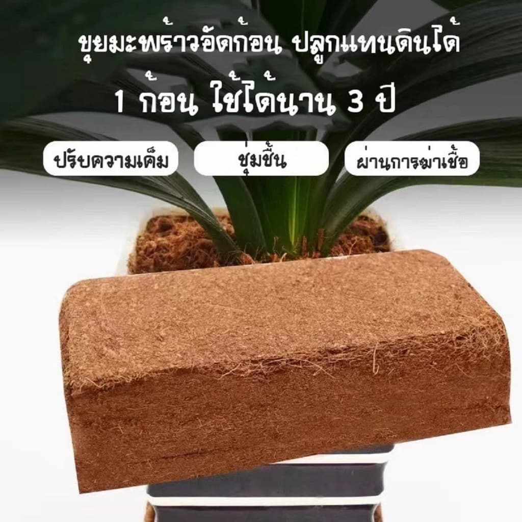 ขุยมะพร้าวอัดก้อน 450g / 550g ก้อน เทนนินต่ำ สำหรับปลูกต้นไม้ ขนาด ก้อน ฟูกว่าเดิม 4 เท่าเมื่อโดน ขุยมะพร้าวอัดก้อน รูปที่ 5
