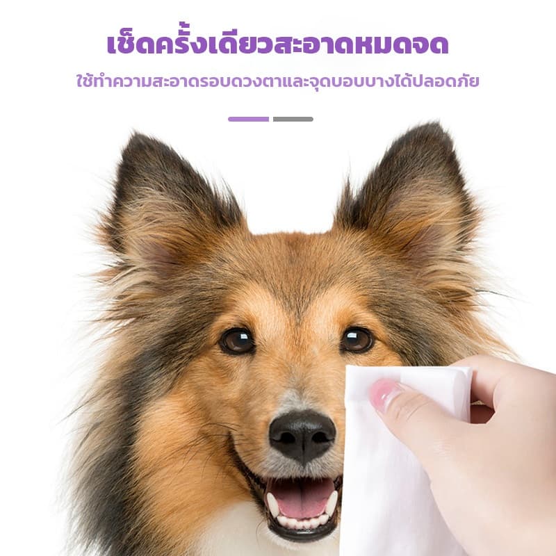 ทิชชู่เปียก ทิชชู่เปียกหมา สัตว์เลี้ยง สำหรับน้องหมาน้องแมว สำหรับเช็ดสัตว์เลี้ยง ทิชชู่เปียกเช็ดทำความสะอาด จำนวน80แผ่น รูปที่ 7