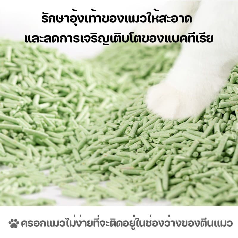 ทรายแมว6ลิตร ทรายเต้าหู้ ทรายเบนโทไนท์ ทรายแมวผสม ผลิตจากกากถั่วเหลืองธรรมชาติ ทรายแมว รูปที่ 5