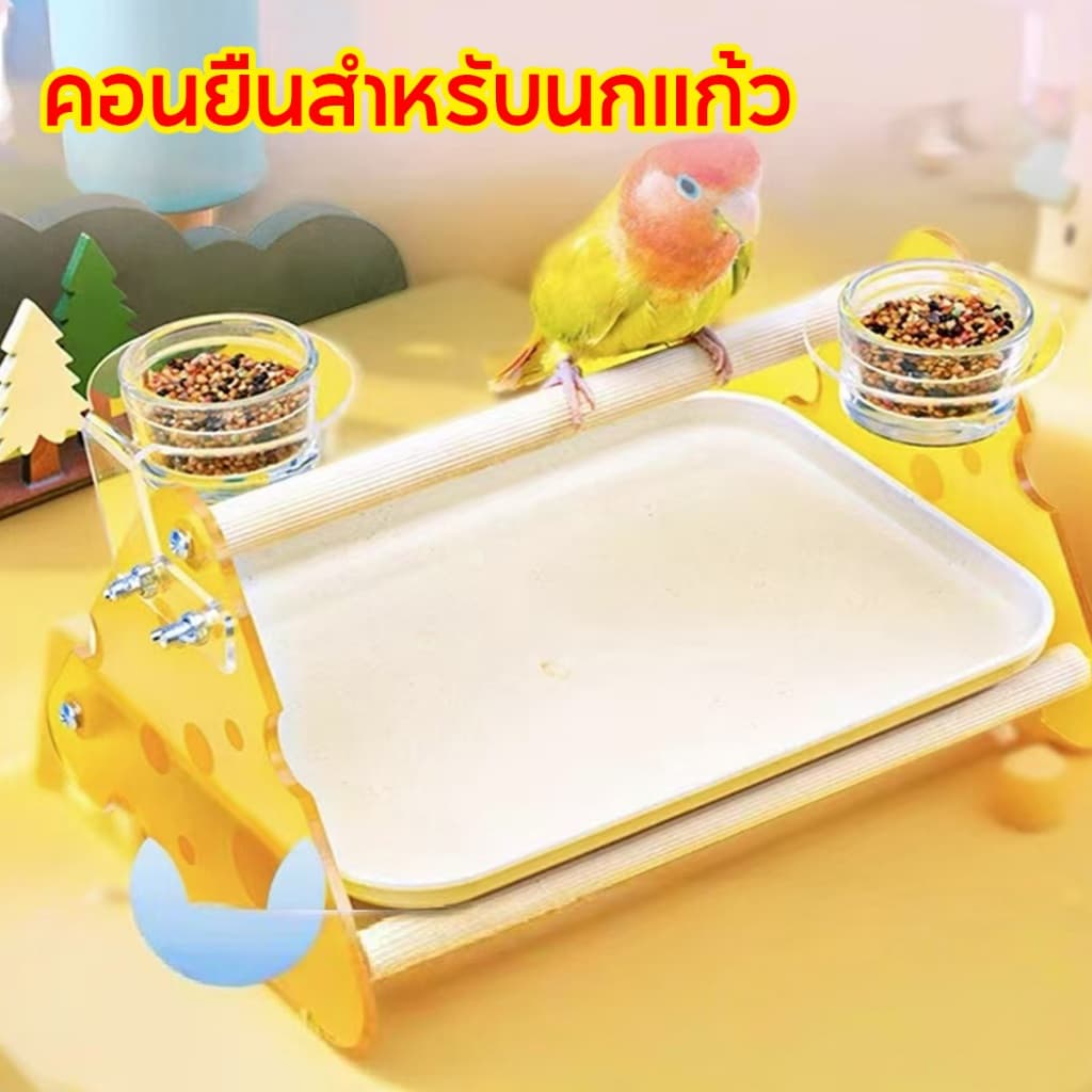 99PET คอนยืนนกแก้ว พร้อมถาดรอง + ถ้วยอาหาร ถอดล้างง่าย แข็งแรง ทนทาน สำหรับนกขนาดเล็ก-กลาง รูปที่ 2