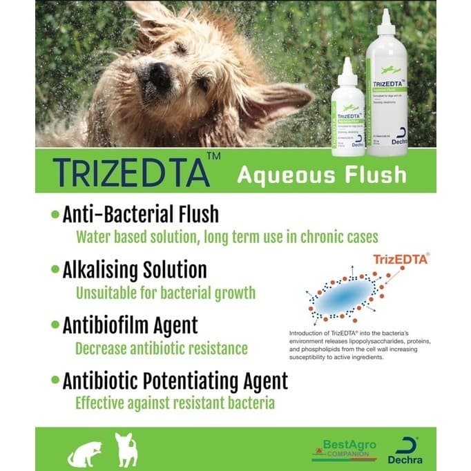 Trizedtaน้ำยาเช็ดหู Ear Cleanser รูปที่ 3