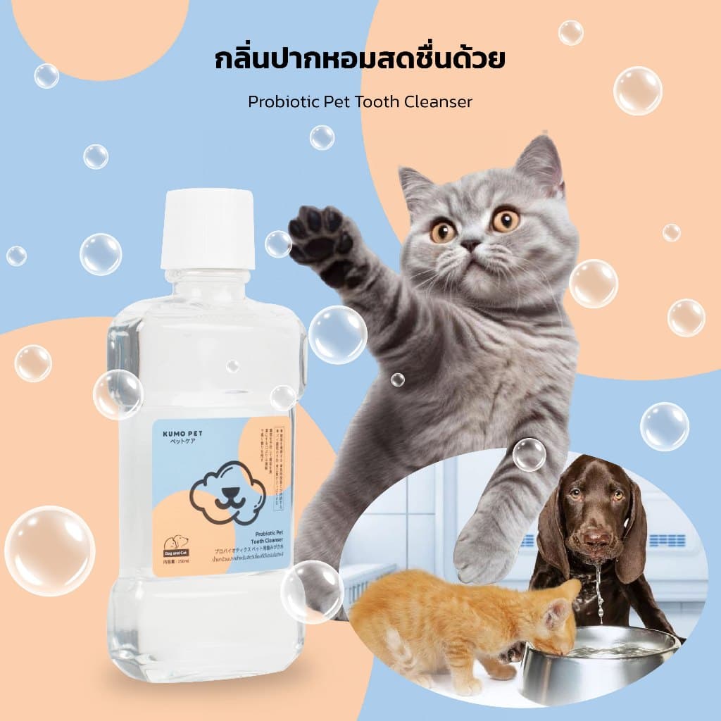 KUMOO PET น้ำยาบ้วนปาก สำหรับสัตว์เลี้ยง ลดคราบหินปูน ช่วยลดกลิ่นปาก รูปที่ 4