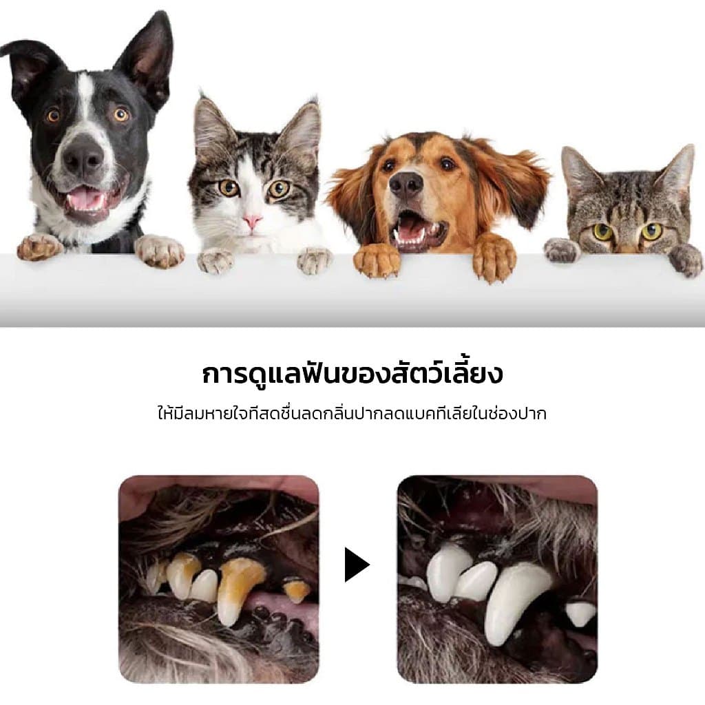 KUMOO PET น้ำยาบ้วนปาก สำหรับสัตว์เลี้ยง ลดคราบหินปูน ช่วยลดกลิ่นปาก รูปที่ 2