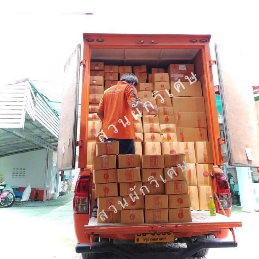 ก้อนเชื้อเห็ดฟาง6ก้อน รูปที่ 4