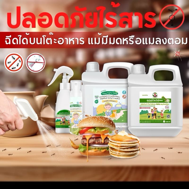 สเปรย์กันยุง น้ำตะไคร้หอมสูตรอ่อนโยน ขนาด 1000 ml ตะไคร้หอม อ่อนโยน ปลอดภัย แถมสเปรย์ฟรี! รูปที่ 2
