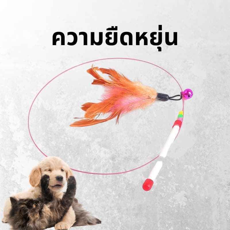 ไม้ตกแมว ของเล่นแมว ไม้แมว ไม้ล่อแมว ขอเล่นแมว ของเล่นเเมว หลากหลายสไตล์ ไว้ล่อแมว คลาดเครียดคลายเหงา รูปที่ 7