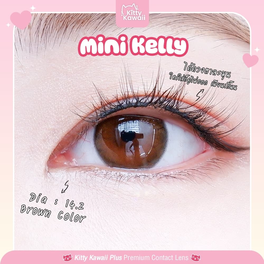 คอนแทคเลนส์Mini Kelly Brown / Gray ขนาดมินิขายดี รูปที่ 1