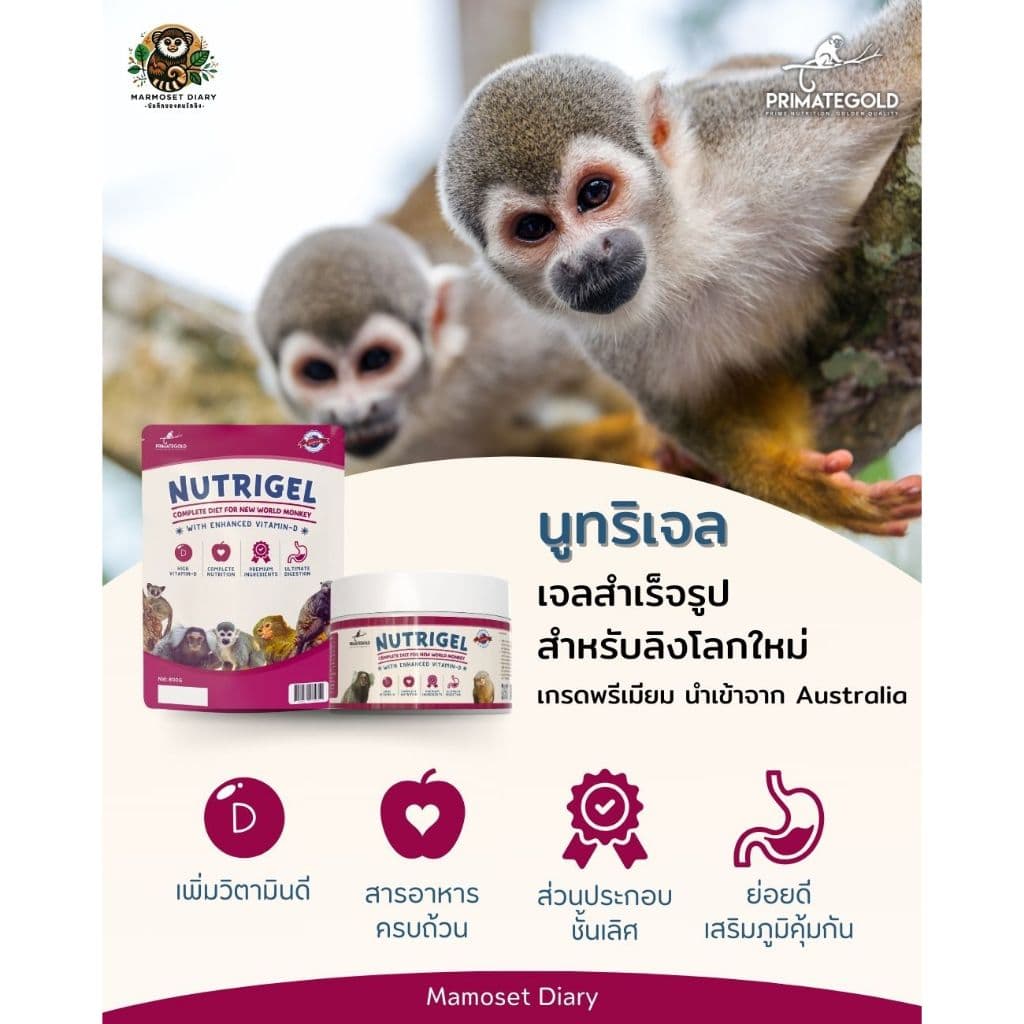 อาหารลิง NutriGel เจลลิง/อาหารแท่ง แคลเซียมลิง เหมาะกับมาโมเสท ทามารีน คาปูชิน ลิงกระรอก บุชเบบี้ นำเข้าจากออสเตรเลีย รูปที่ 4