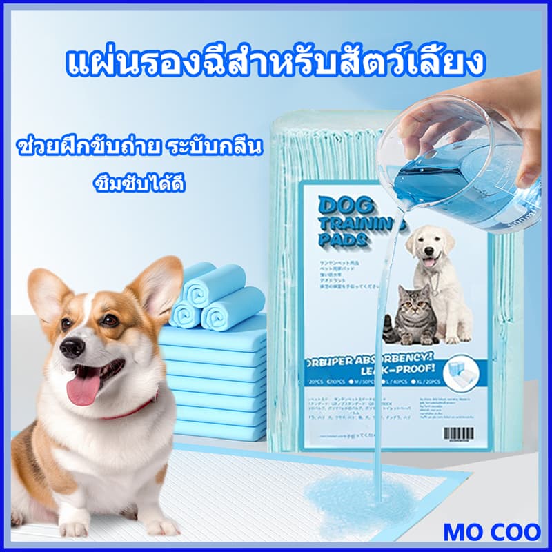 แผ่นรองฉี่สำหรับสัตว์เลี้ยง ซึมซับไดีดี ต่อต้านแบคทีเรีย แผ่นรองฉี่ ผ้ารองฉี่สุนัข แผ่นรองฉี่แมว แผ่นรองซับ ทรายแมว รูปที่ 1