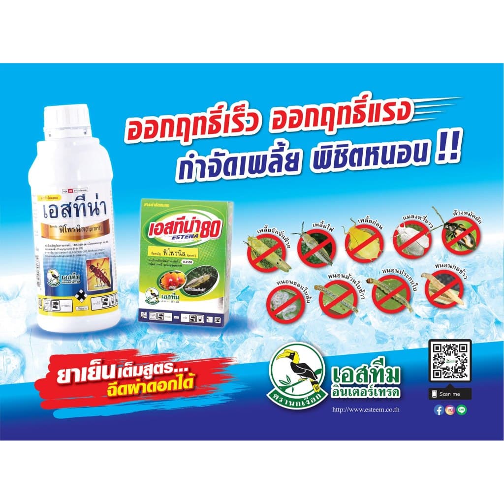 เอสทีน่า 1 ลิตร กำจัดปลวก ฆ่าเพลี้ย เพลี้ยไฟ เพลี้ยแป้ง หนอนกอ หนอนม้วนใบ ชอนใบ ด้วง รูปที่ 2