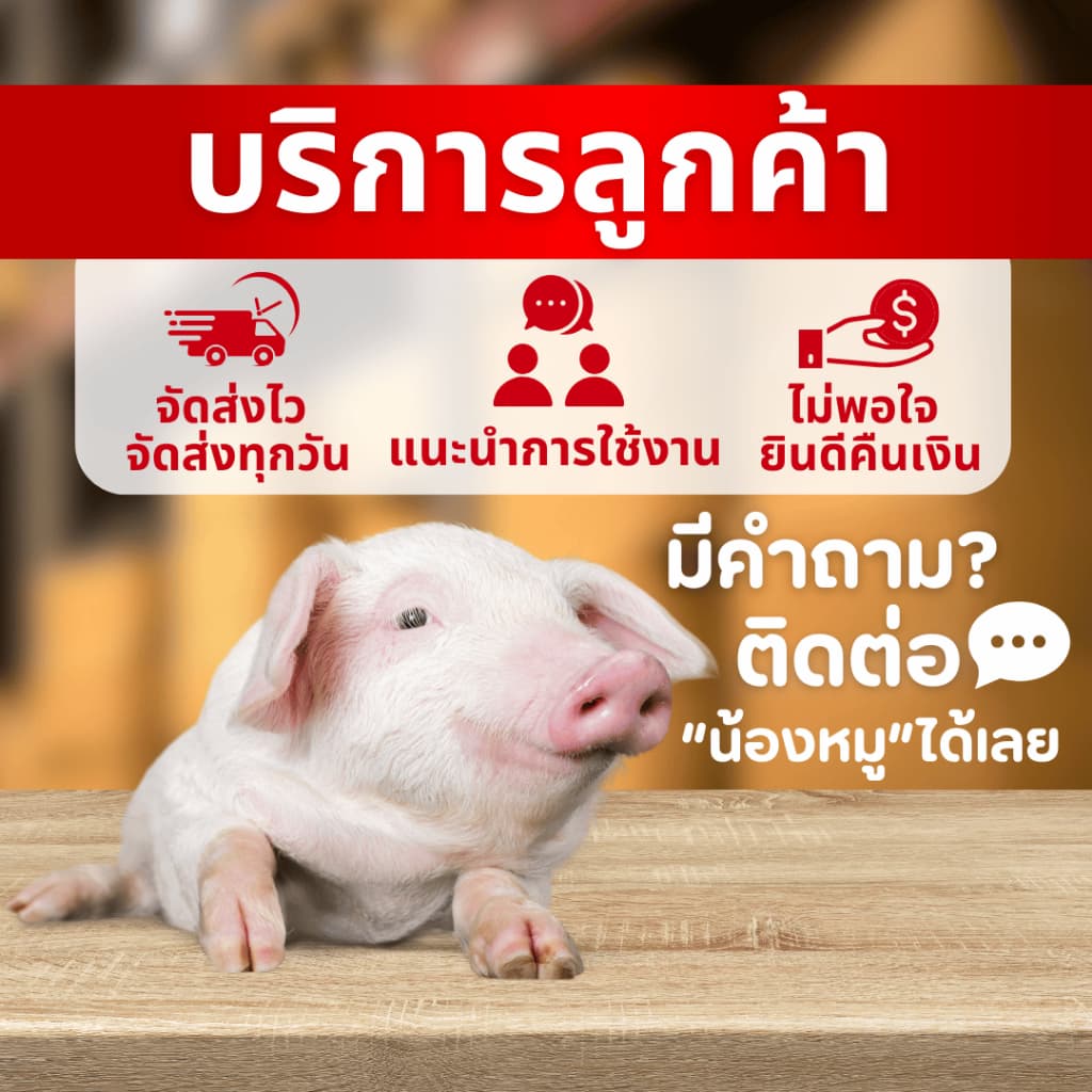 แพลนเน็ท มิกซ์ สูตรพรีเมี่ยม วิตามินบำรุง สูตรเข้มข้นสำหรับไก่ไข่ เป็ด สุกร รูปที่ 9