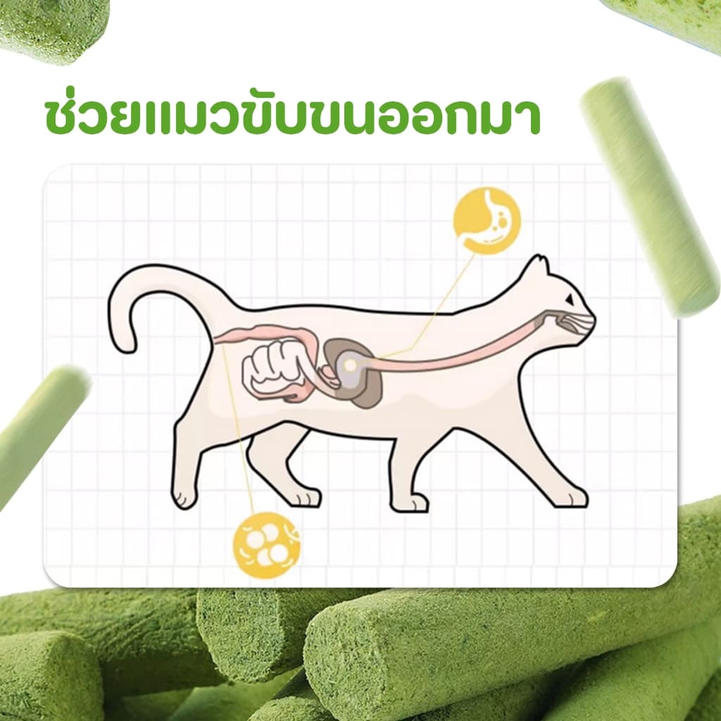 หญ้าแมวฟรีซดราย หญ้าแมวแห้ง ต้นอ่อนข้าวสาลี หญ้าแมวแท่ง ขนมหญ้าแมว ผลิตจากต้นอ่อนข้าวสาลี รูปที่ 8