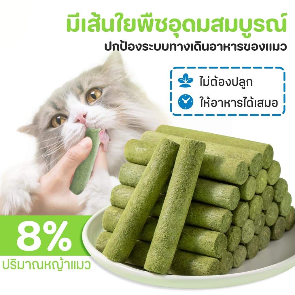 หญ้าแมวฟรีซดราย หญ้าแมวแห้ง ต้นอ่อนข้าวสาลี หญ้าแมวแท่ง ขนมหญ้าแมว ผลิตจากต้นอ่อนข้าวสาลี รูปที่ 9