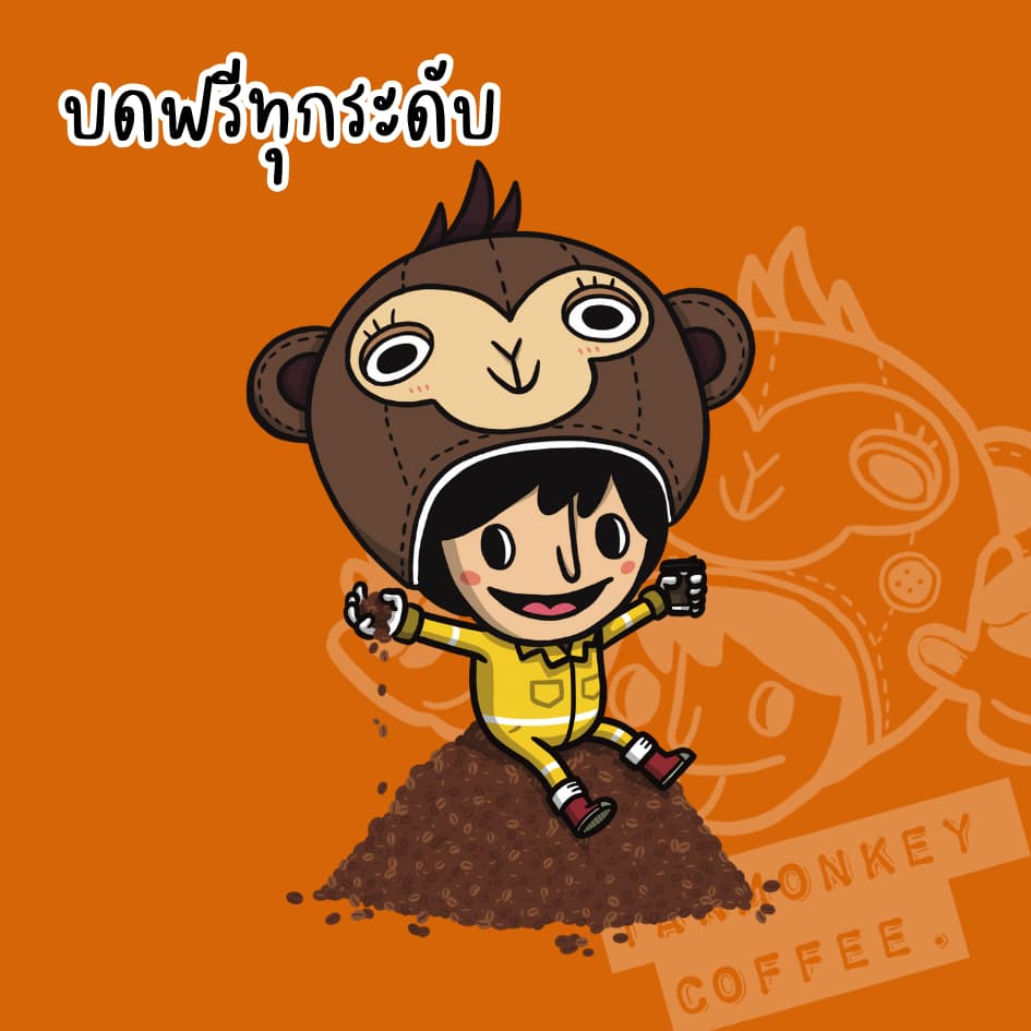 Tanmonkey Coffee เมล็ดกาแฟคั่ว Brazil Santos Coffee รูปที่ 9