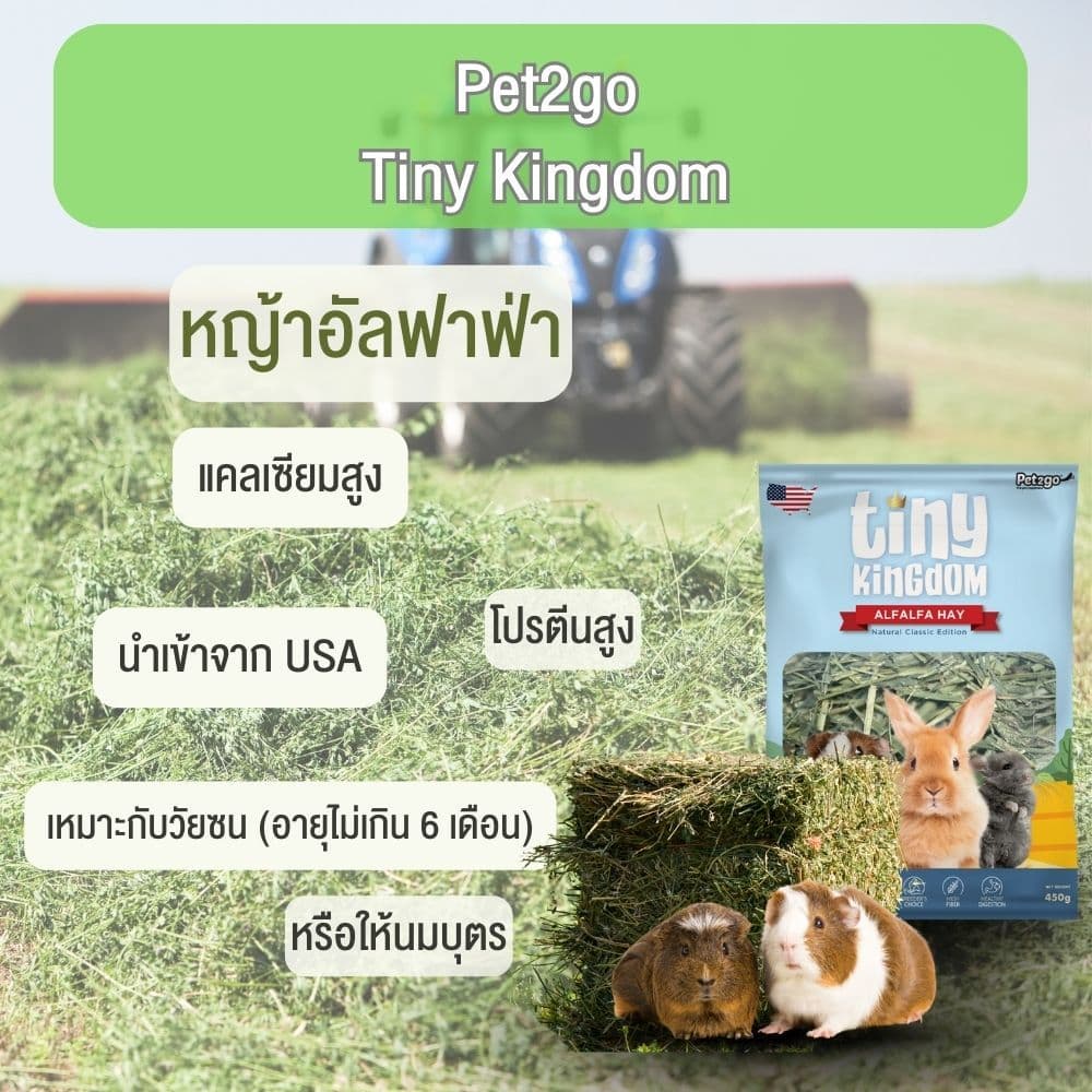 Tiny Kingdom หญ้าอัลฟาฟ่า USA รุ่นคลาสสิก 450g หญ้ากระต่าย หญ้าแห้ง สำหรับกระต่ายและสัตว์ฟันแทะ ||TKH05|| รูปที่ 2
