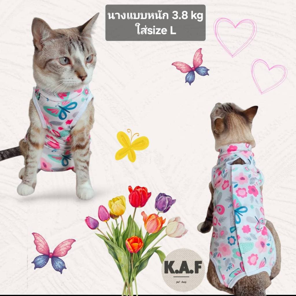 เสื้อทำหมันสัตว์เลี้ยง กันเลียแผล ผ้ายืด นิ่ม สีสวย ตรวจสอบขนาดก่อนสั่งด้วยน้า รูปที่ 5