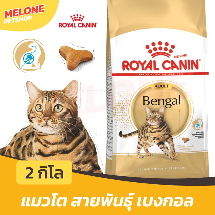 Royal Canin Bengal Adult อาหารแมว แมวโต รอยัลคานิน ตัวแน่น พันธุ์ เบงกอล 2 kg รูปที่ 1