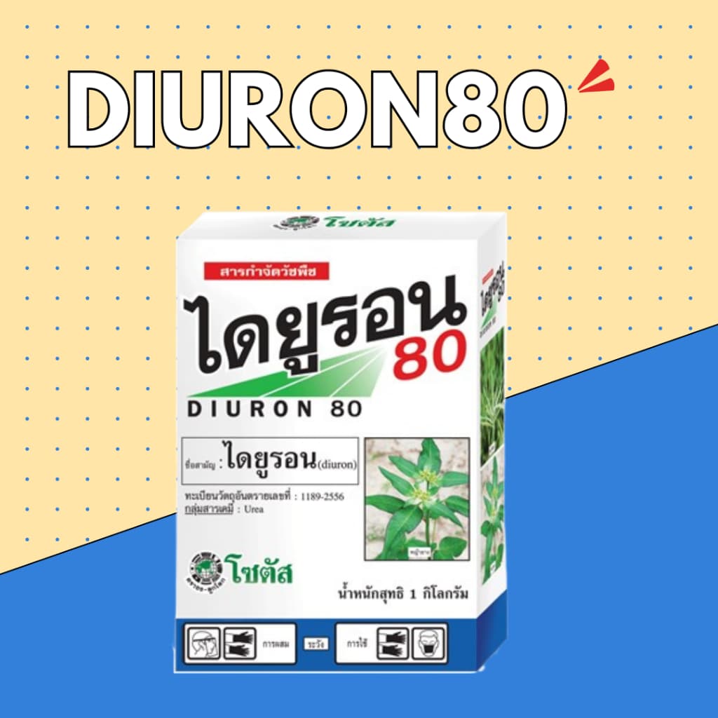 ไดยูรอน 80 | 1 กิโลกรัม รูปที่ 1