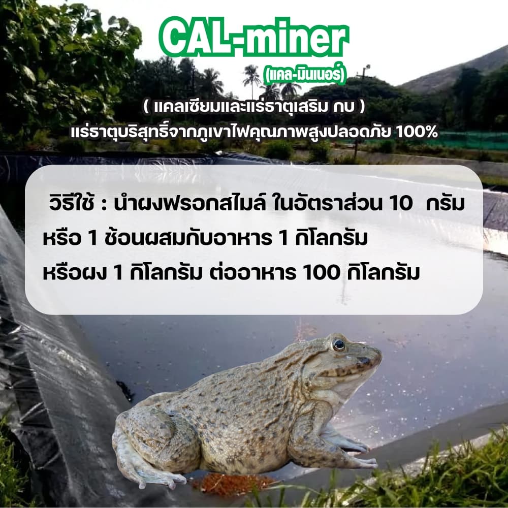 FrogSmileฟรอกสไมล์ ขนาด2,000กรัมอาหารเสริมกบเกรดพิเศษจากแร่ธาตุบริสุทธิ์คุณภาพสูงโตเร็ว/ลดตาย รูปที่ 3