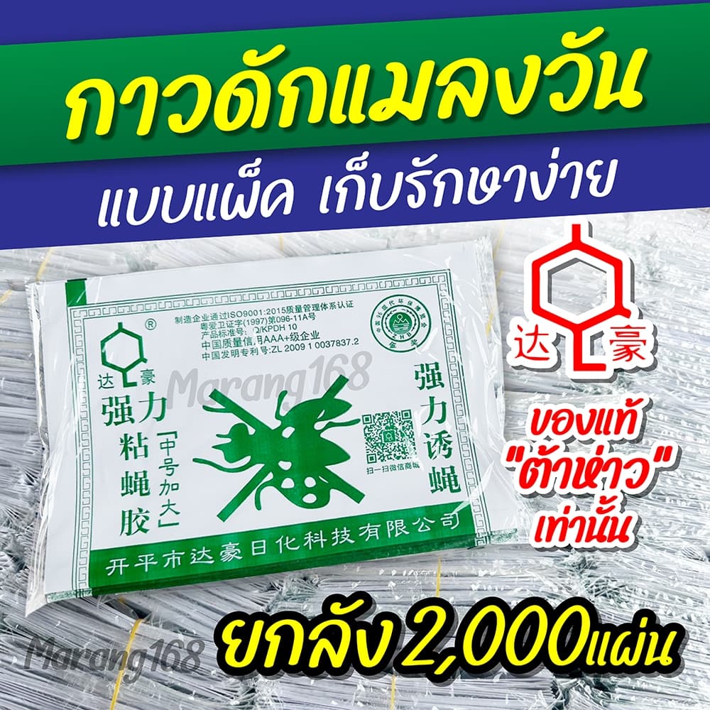 กาวดักแมลงวัน ยกลัง รุ่นกระดาษ แพ็ค ขายดี! รูปที่ 1