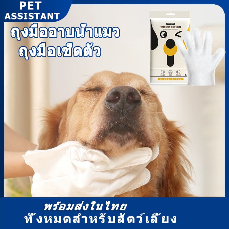 Pet Assistant ถุงมือสัตว์เลี้ยงแบบใช้แล้วทิ้ง ถุงมือสปา ถุงมืออาบน้ำแมว สุนัข ไม่ระคายเคืองผิว 6pcs รูปที่ 1