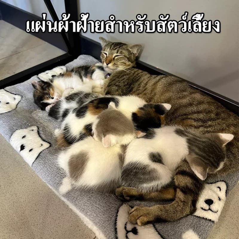 พรมนอนสัตว์เลี้ยง เบาะนอนสำหรับสัตว์เลี้ยง เบาะรองนั่ง ที่นอนสัตว์เลี้ยง ขนนุ่ม ที่นอนสุนัข ที่นอนแมว รูปที่ 8