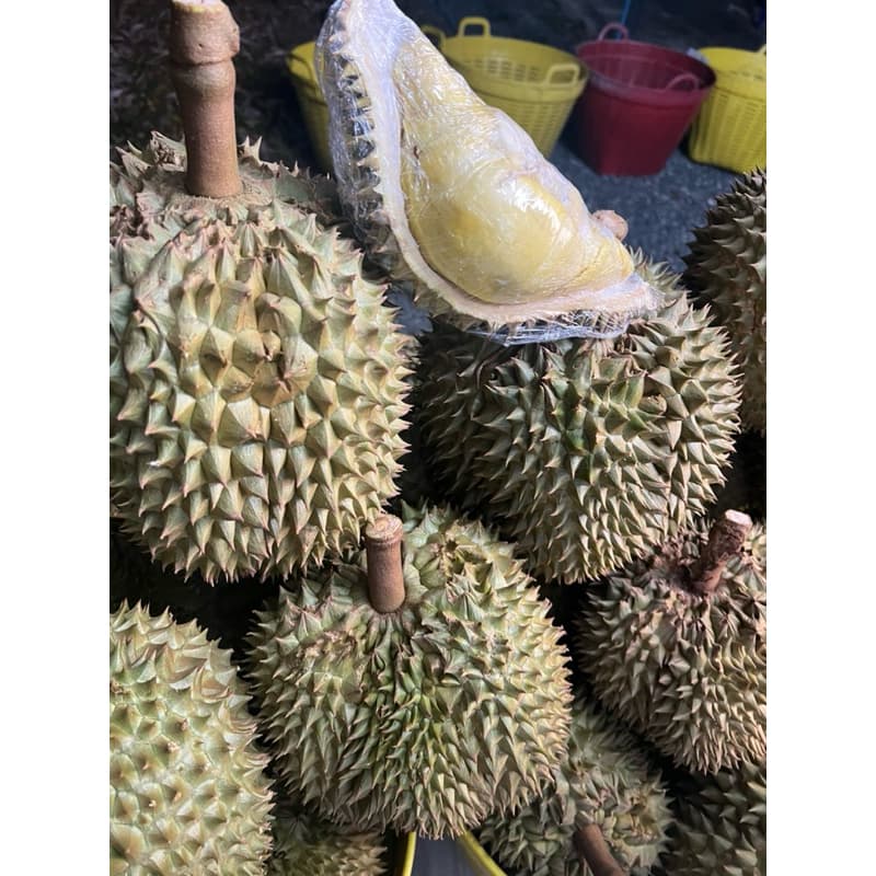 ยอดสั่งซื้อเยอะสุด! ทุเรียนหมอนแท้ ออแกรนิค 100% มีให้เลือกจะเลือกสวยๆให้น้ำหนักเลือกได้ เก็บเงินปลายทาง รูปที่ 7