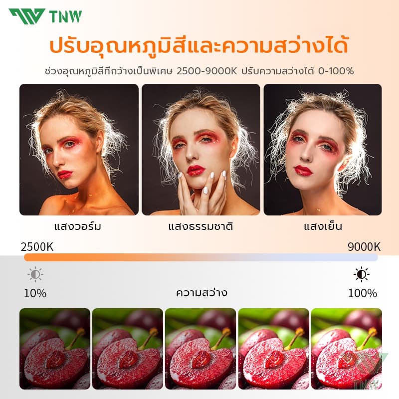 TNW D25 ไฟดาราพกพา ไฟวิดีโอ LED แบบชาร์จไฟ หรี่แสงได้ 3000K-9900K ไฟสตูดิโอถ่ายภาพโคมไฟ สามารถใช้สําหรับการถ่ายภาพ Vlog รูปที่ 3