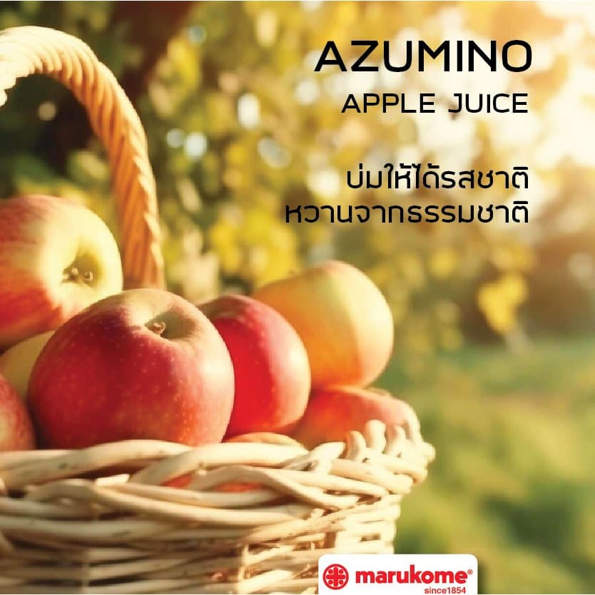 GOLD-PAK AZUMINO APPLE JUICE น้ำแอปเปิ้ลแท้100% จากอะซุมิโนะ ประเทศญี่ปุ่น 190ml x 6กระป๋อง รูปที่ 4