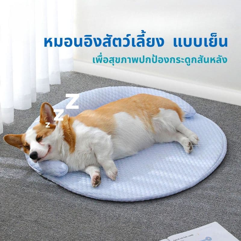 ที่นอนสำหรับสัตย์เลี้ยง สำหรับน้องหมาน้องแมว ที่นอนระบายอากาศ มี3ขนาด มีเนื้อผ้าที่ดี BJ3 รูปที่ 3