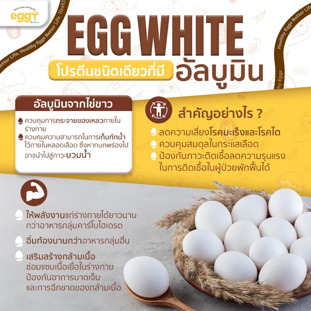 ของแท้ EGGY PROTEIN by MANA โปรตีนไข่ขาว สนยุกต์ ทานง่ายรสชาติดี ส่งตรงจากบริษัท รูปที่ 5