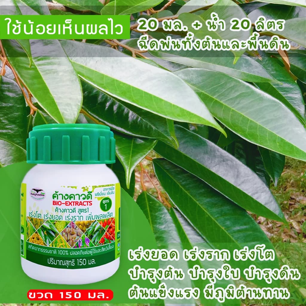 ปุ๋ยทุเรียนช่วงทำใบ เพิ่มใบ ค้างคาวดีสูตร1 ฟื้นต้น เร่งแตกยอด สร้างใบใหม่ สะสมอาหาร F1-150ML รูปที่ 6