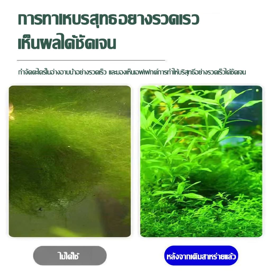 กำจัดสาหร่ายในตู้ปลา กำจัดตะไคร่น้ำในตู้ปลา กำจัดสาหร่าย กำจัดน้ำสีเขียว ทำความสะอาดบ่อปลา รูปที่ 2