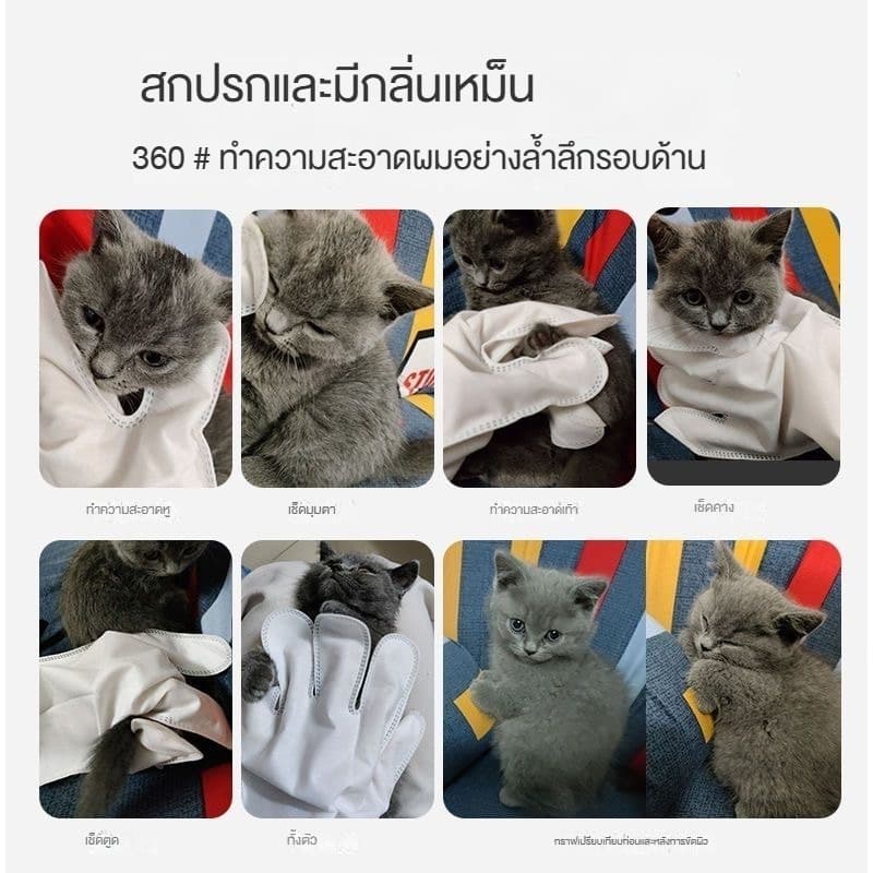 ถุงมืออาบน้ำสัตว์เลี้ยง ไม่ระดายเคืองผิว ไม่ต้องล้างน้ำ สัตว์เลี้ยงเลียได้ ปราศจากแอลกอฮอล์ COD รูปที่ 5