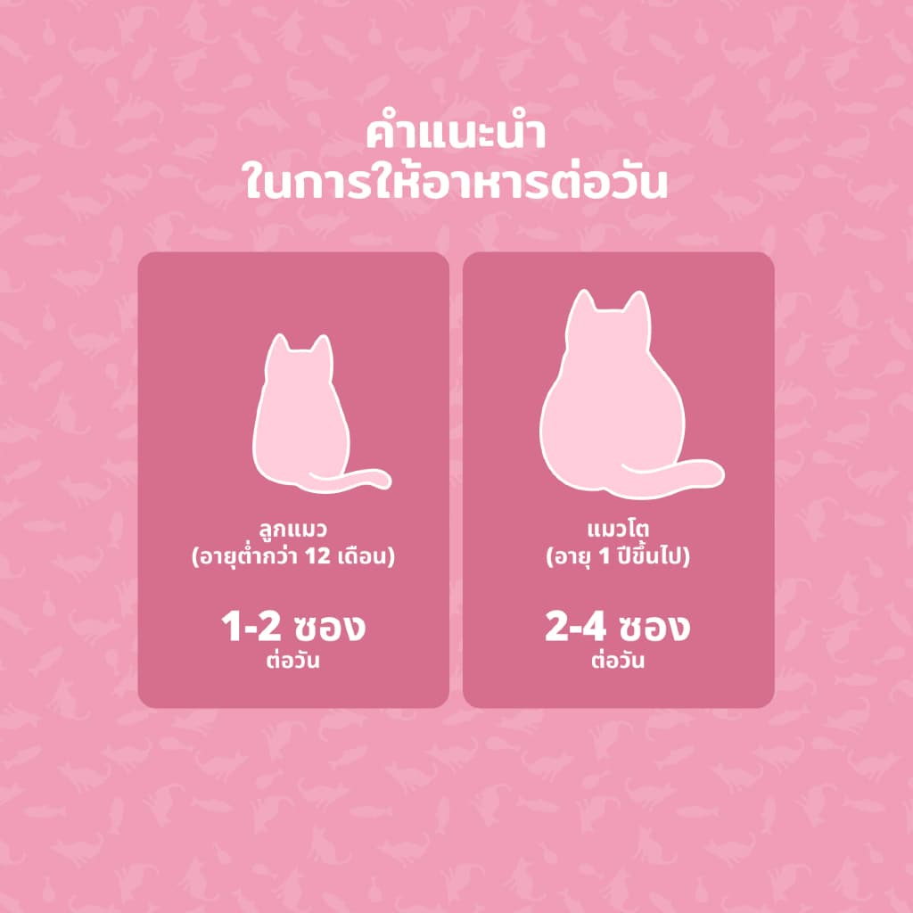 Prof. Bengal Easy Pee-sy Cat Paste ขนมแมวเลียสูตรการขับถ่าย 200 กรัม สำหรับแมวทุกพันธุ์ รูปที่ 5