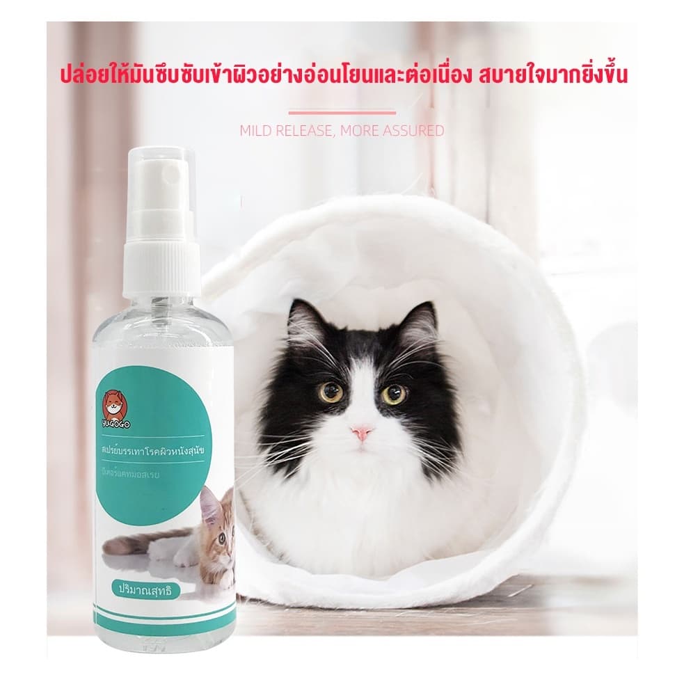 yugogoสเปรย์ผิวหนังสุนัขแมว สเปรย์นาโน แผลแห้งไว Nano Spray สุนัข แมว 100ml รูปที่ 5
