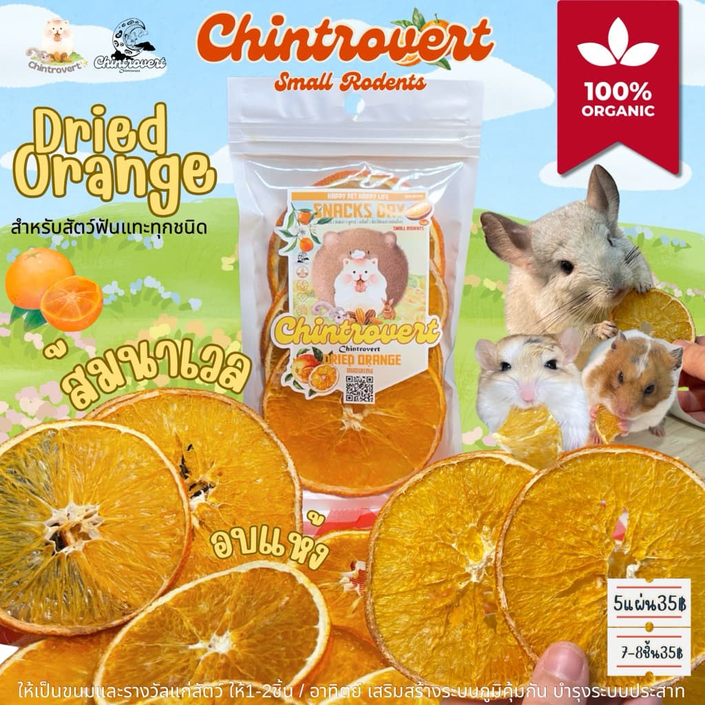 Chintrovert | Dried Oranges ส้มอบแห้ง เกรดคนทานได้ | กระต่าย ชินชิล่า แฮมเตอร์ แกสบี้ สัตว์ฟันแทะ รูปที่ 1