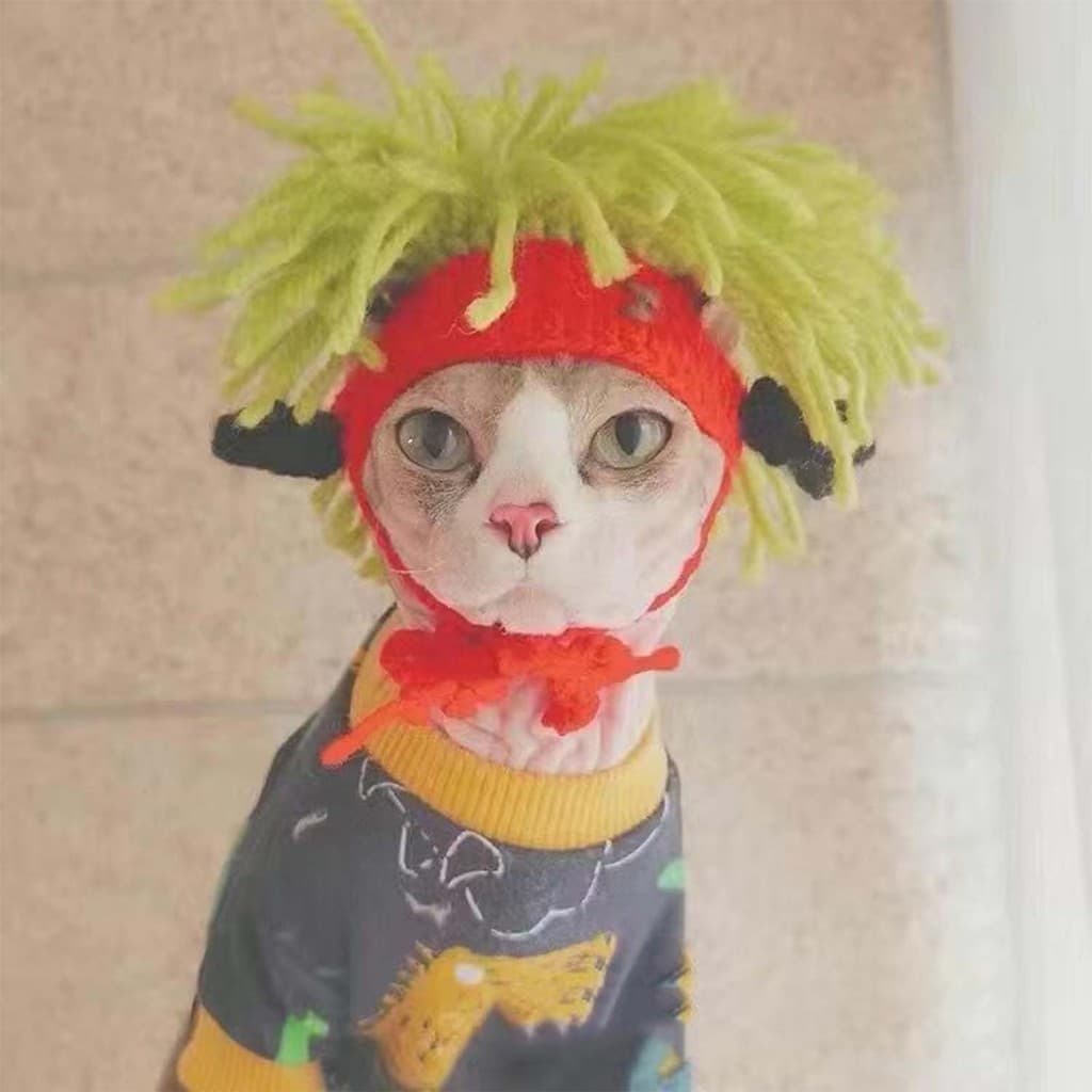 yoyopet : Headband หมวกถักไหมพรม ที่คาดผมสัตว์เลี้ยง หมวกเรกเก้ สำหรับแมวสายเขียว หมวกแฟชั่น รูปที่ 6