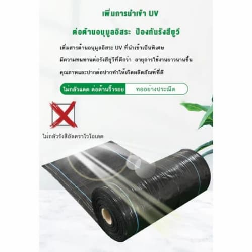 ผ้าคลุมดิน คลุมดิน พลาสติกคลุมวัชพืช ผ้าคลุมหญ้า พราสติกคลุมดิน ผ้าคลุมวัชพืช น้ำซึมผ่านได้ คลุมวัชพืช 50/100m รูปที่ 6