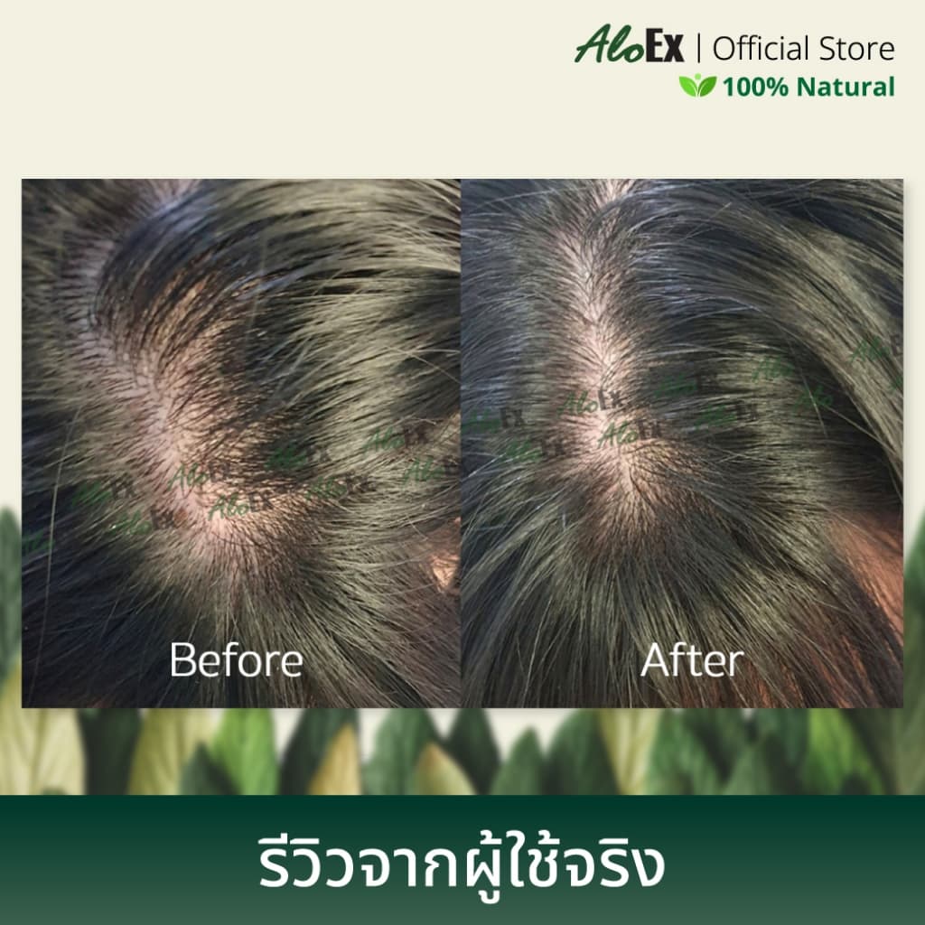 AloEx Hair Mask 200 g 2 หลอด ทรีทเม้นท์ผมนุ่ม ลดผมแห้งเสีย บำรุงหนังศีรษะ ลดผมร่วง กระตุ้นการงอกใหม่ Silicone Free! รูปที่ 6